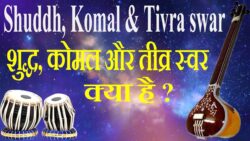 Shuddh, Komal and Tivra swar
